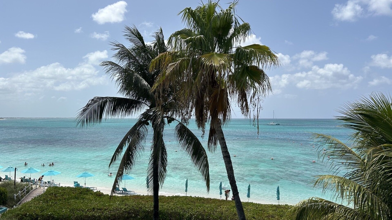 Photo of Others in The Bight