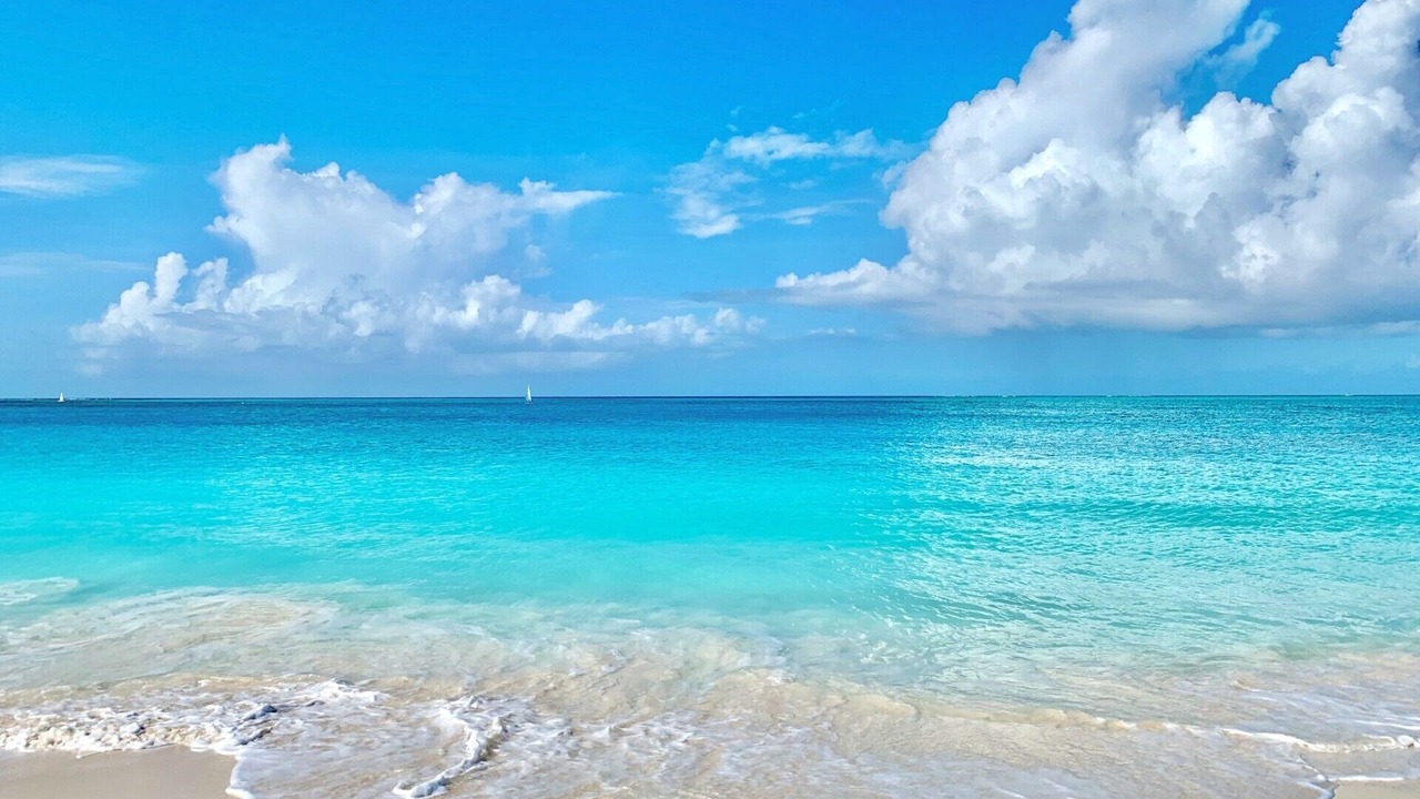 Photo of Others in The Bight