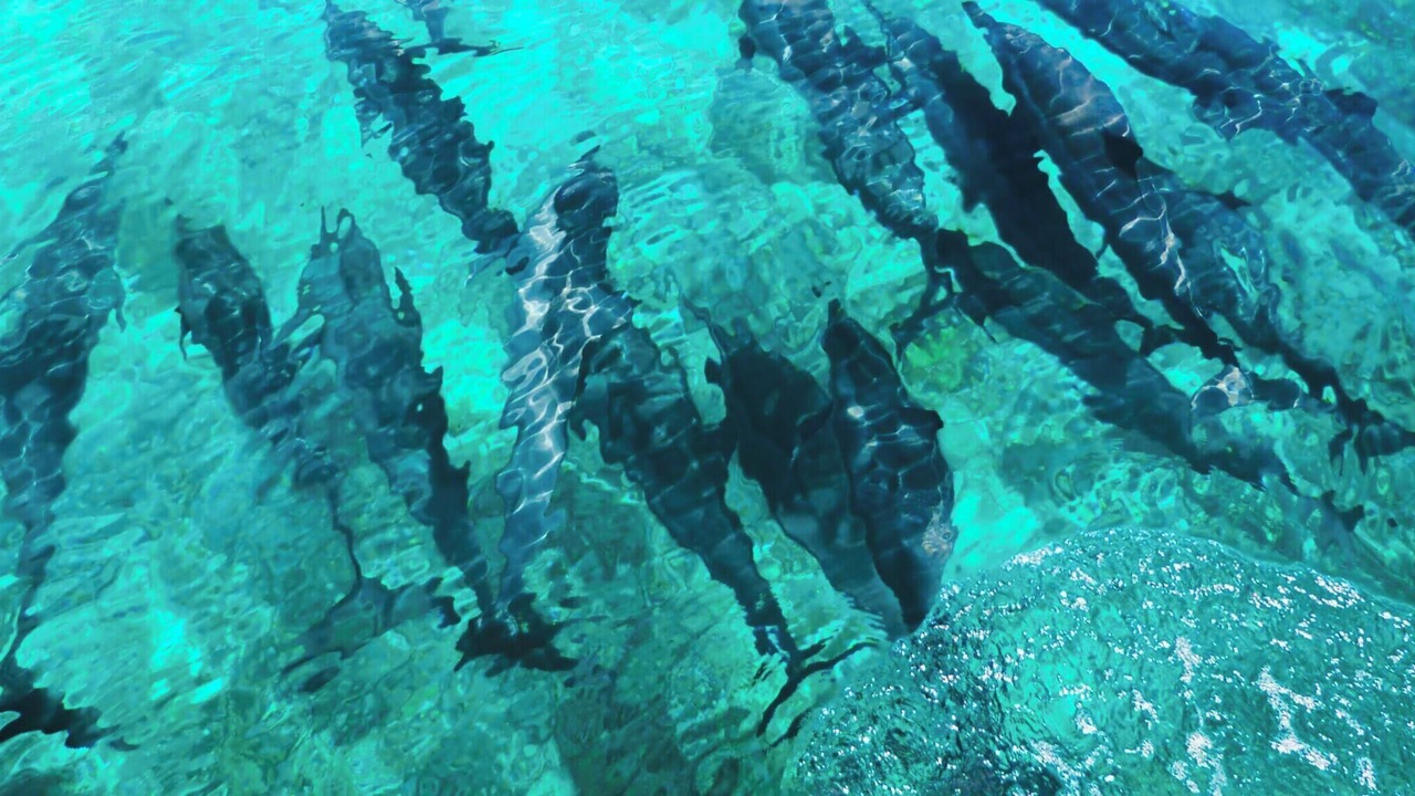 Photo of Outdoor in Dhiffushi