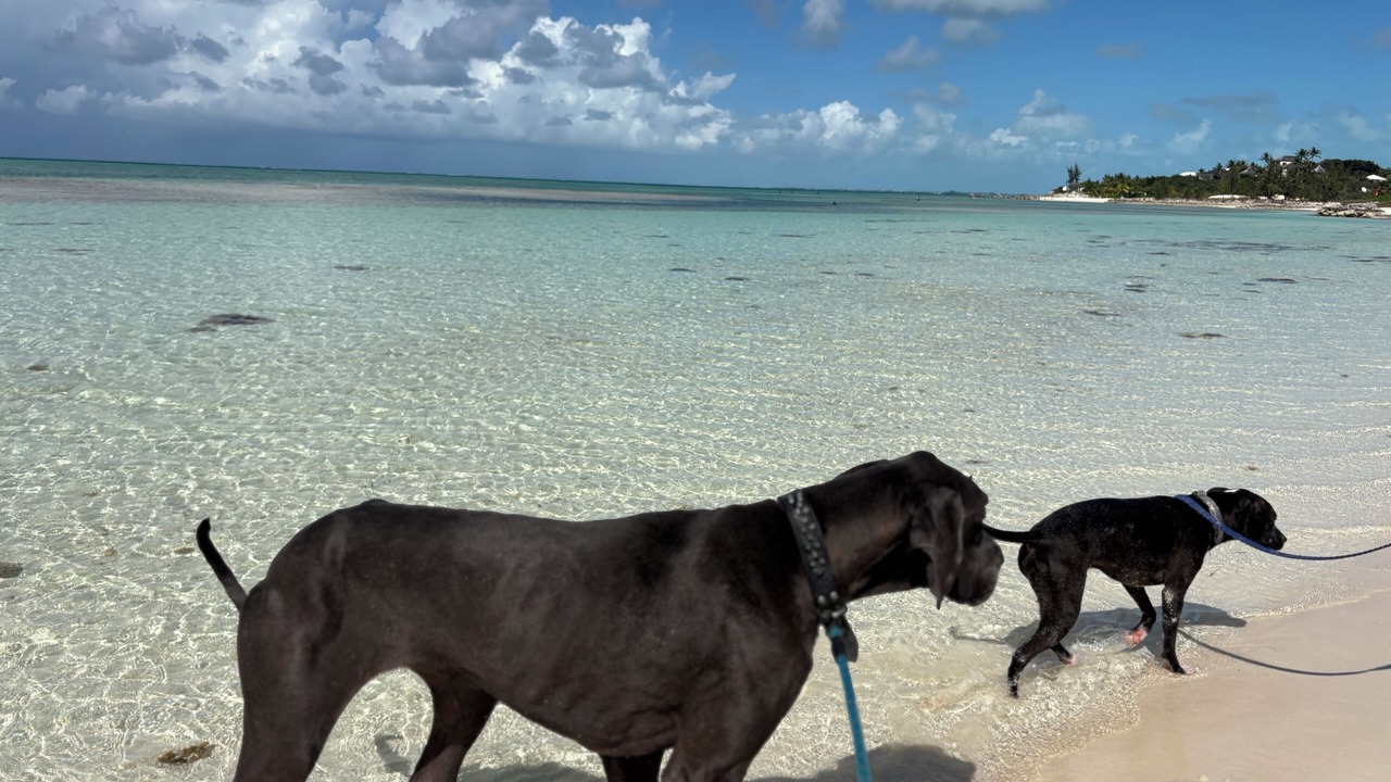 Photo of Others in Providenciales