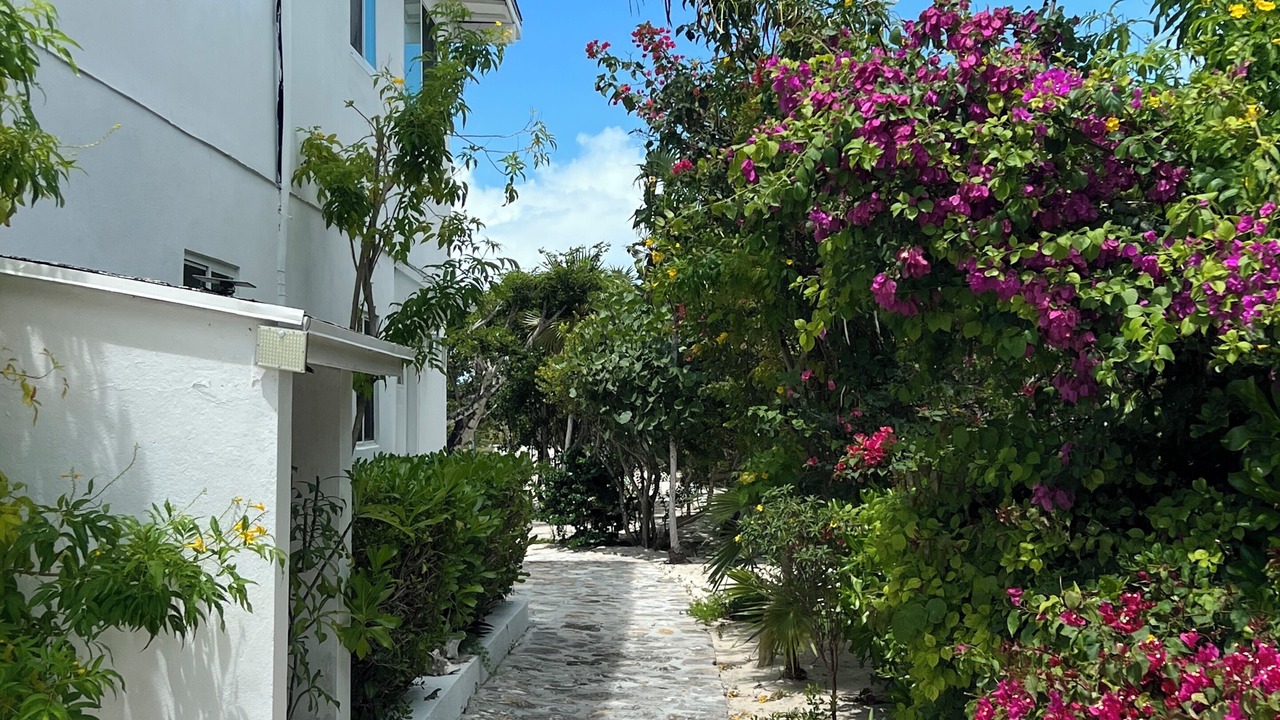Photo of Outdoor in Providenciales
