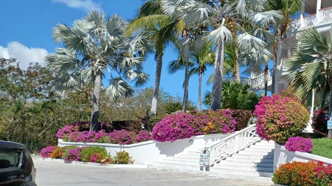 Photo of Others in Providenciales