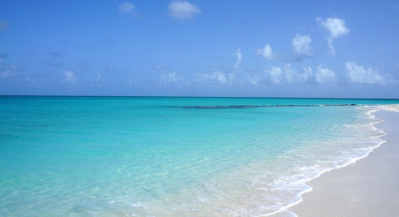 Photo of Others in The Bight