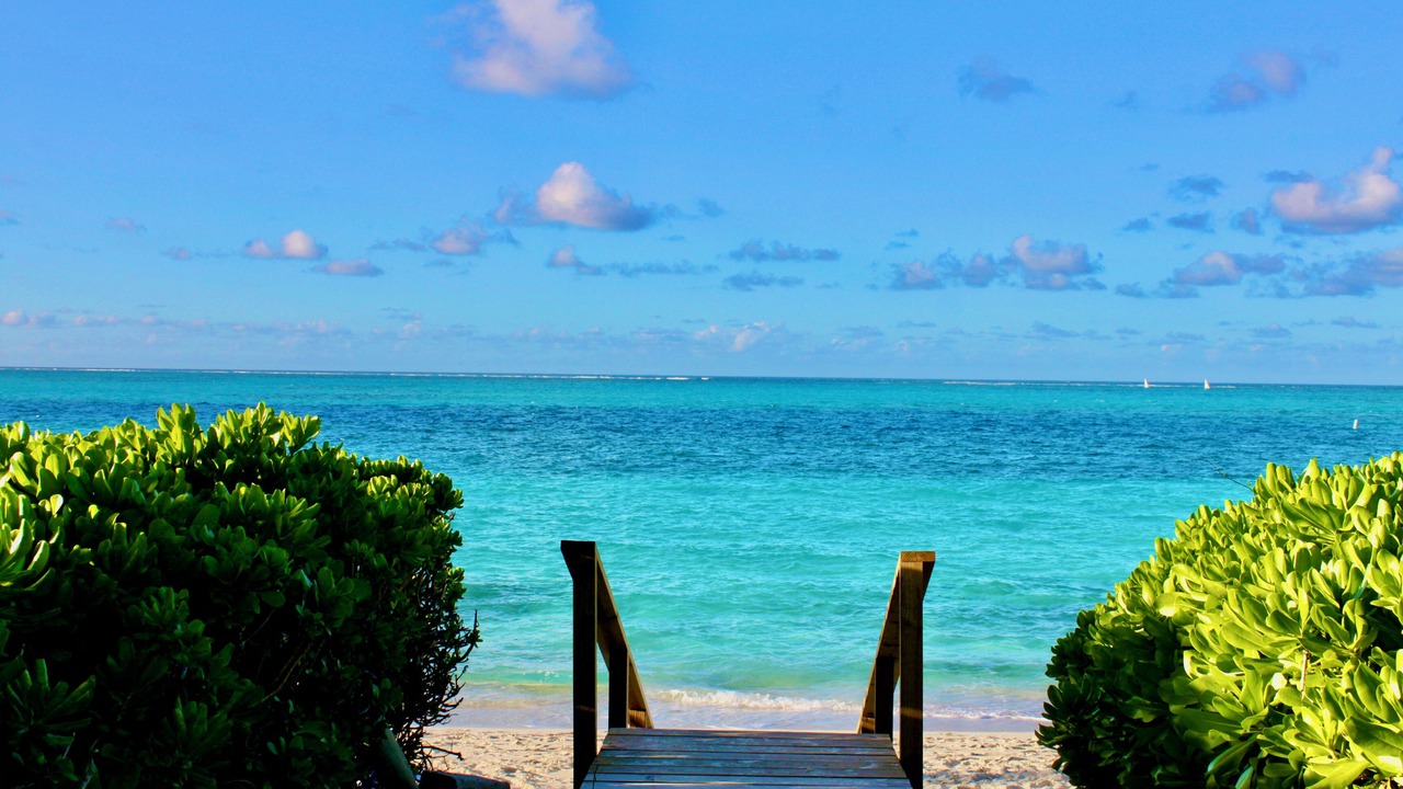 Photo of Others in The Bight