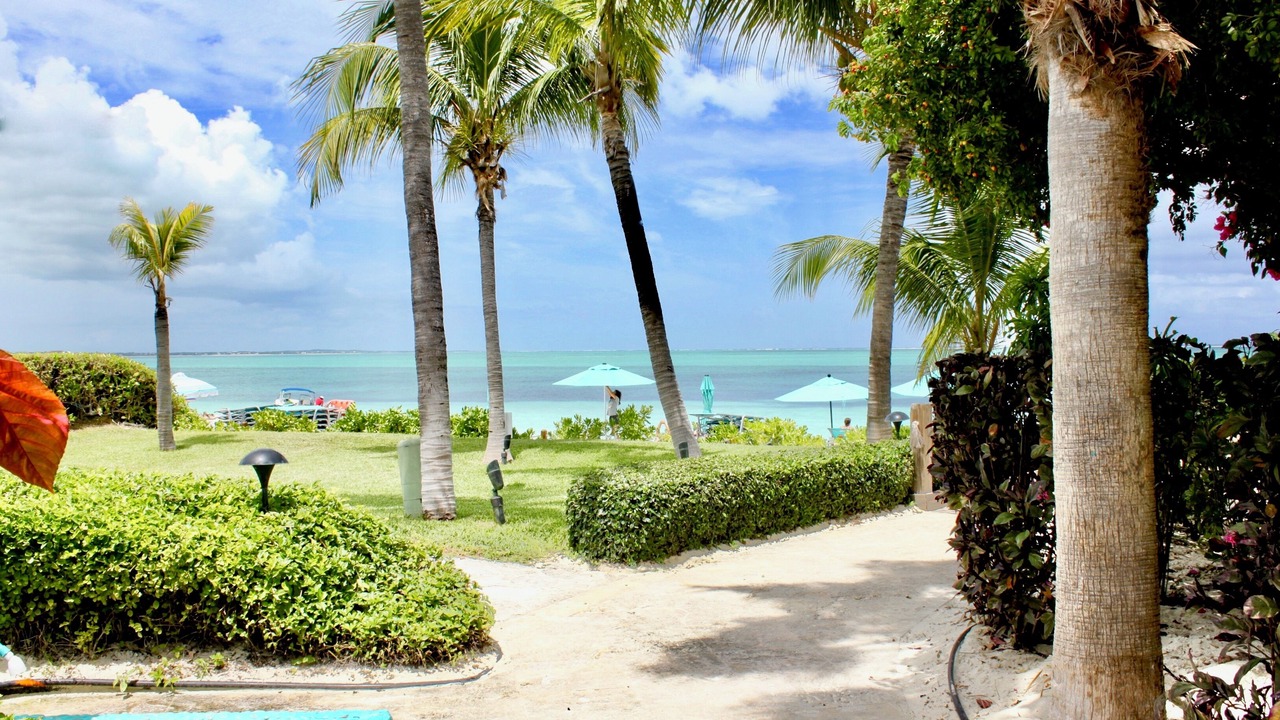 Photo of Outdoor in The Bight