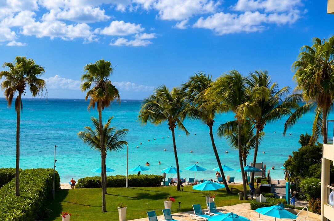 Photo of Outdoor in The Bight