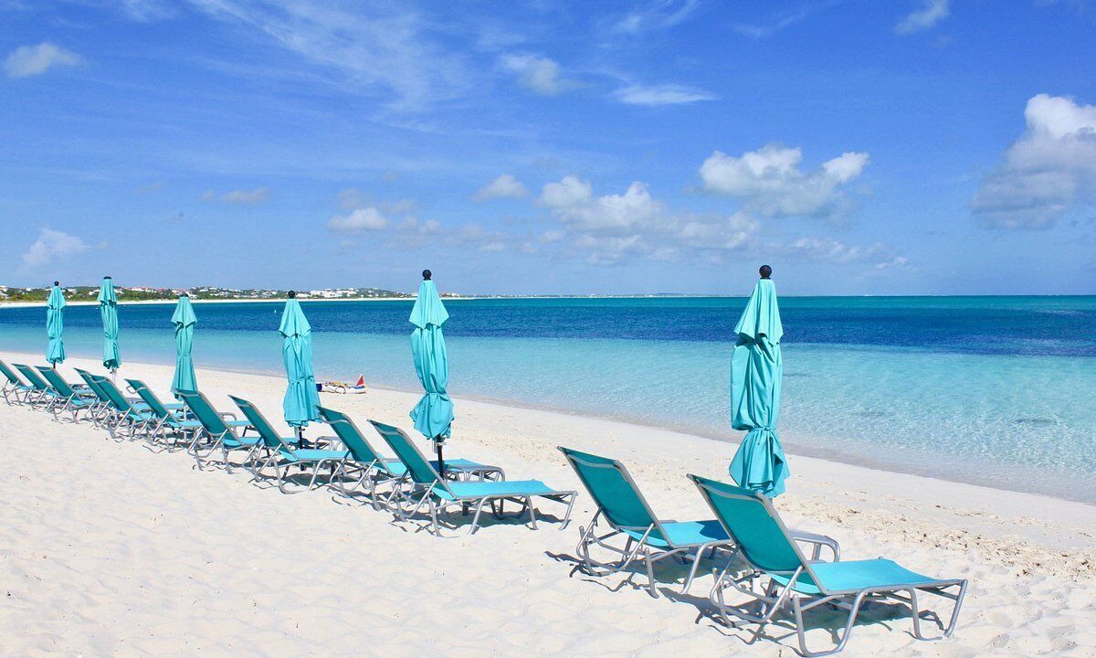 Photo of Others in The Bight