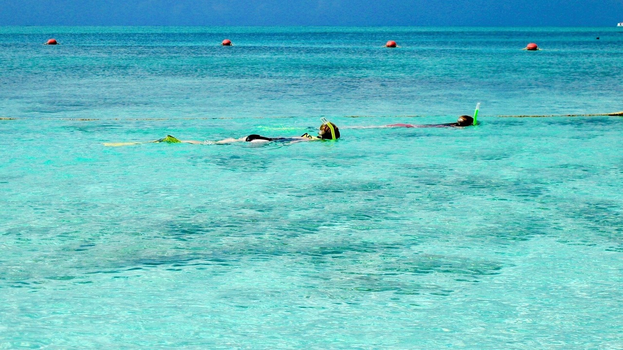 Photo of Others in The Bight