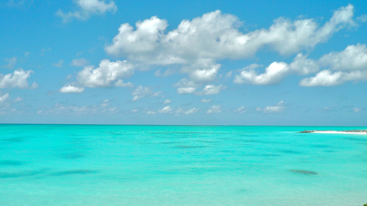 Photo of Others in The Bight