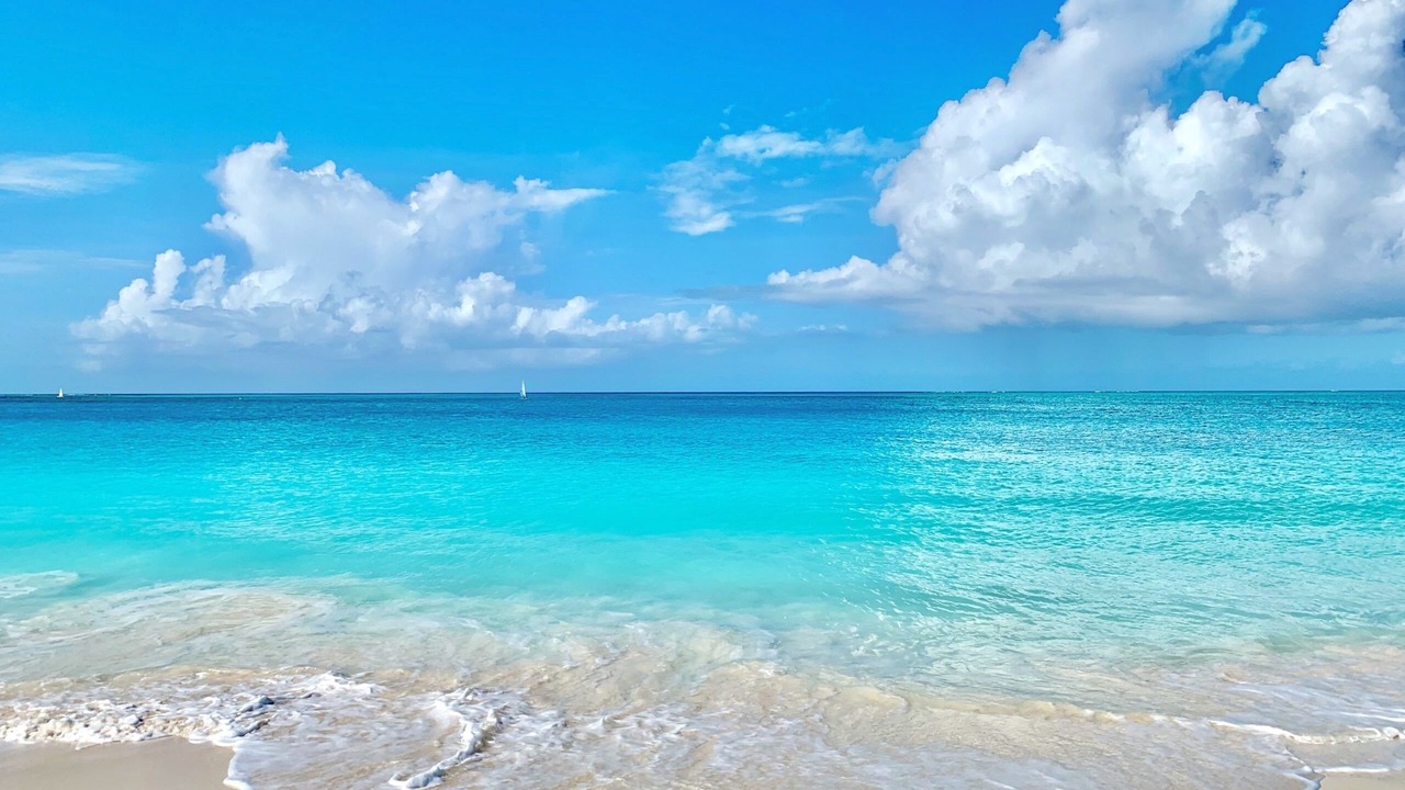 Photo of Others in The Bight