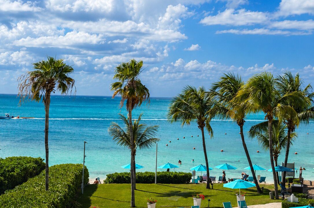 Photo of Outdoor in The Bight