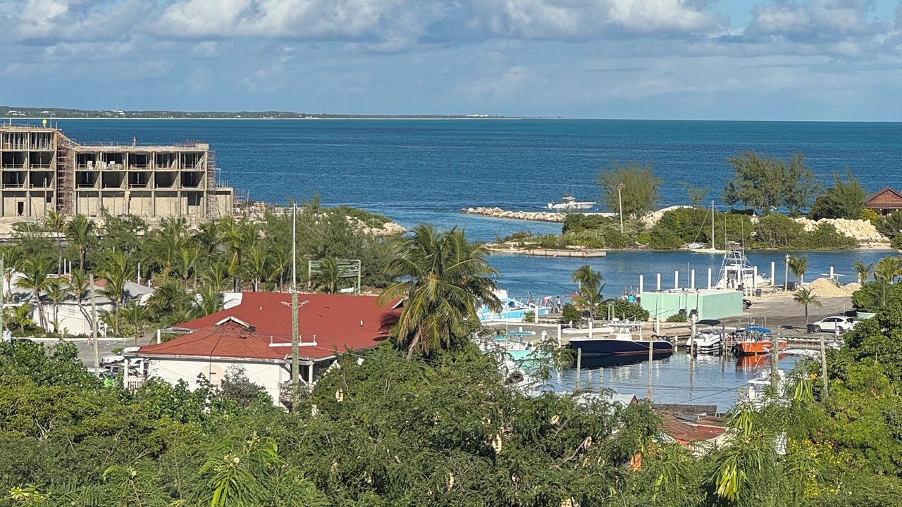 Photo of Others in The Bight
