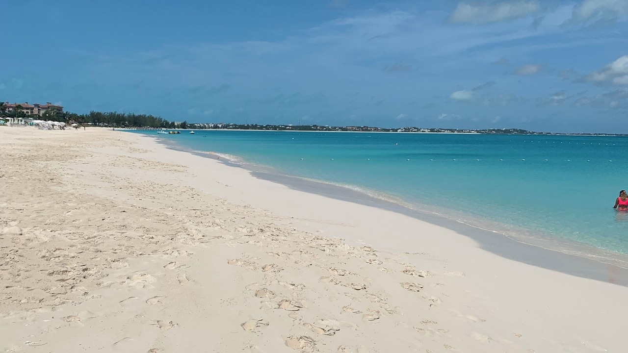 Photo of Others in The Bight
