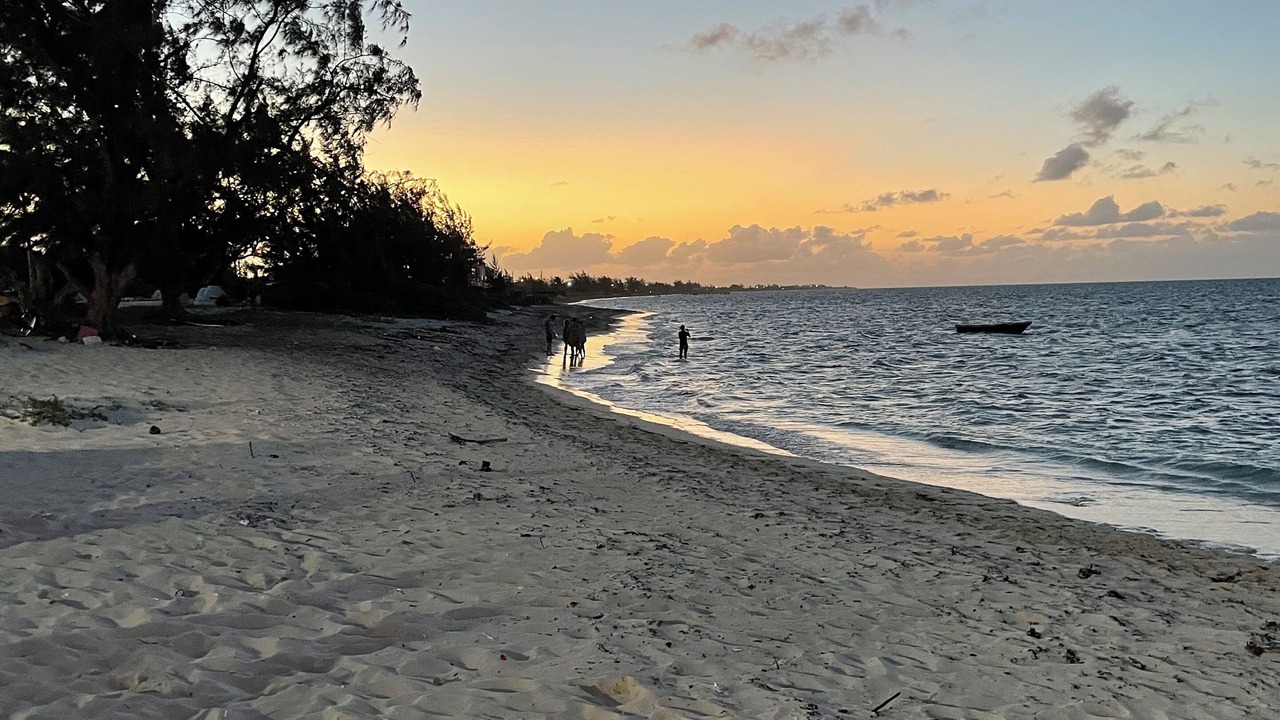 Photo of Others in The Bight