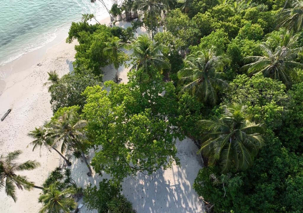 Photo of Others in Goidhoo