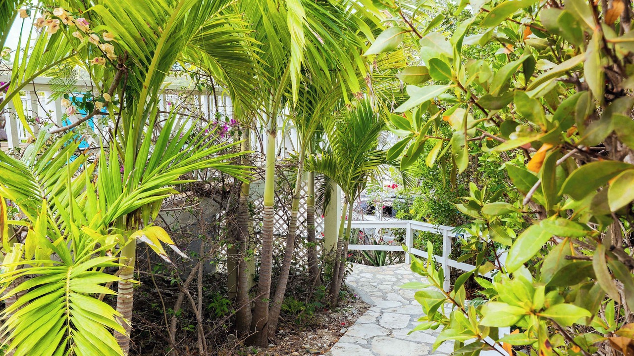 Photo of Outdoor in Venetian Road Settlement