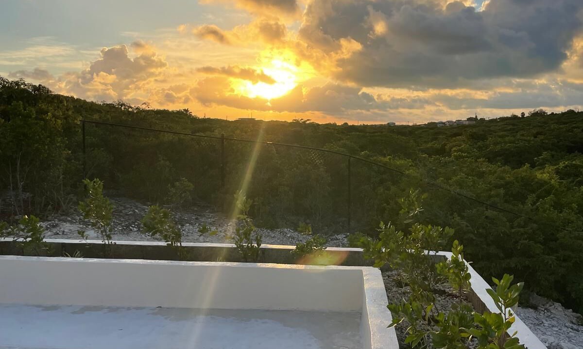 Photo of Outdoor in The Bight