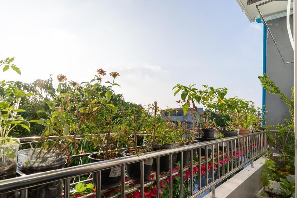 Photo of Outdoor in Ukulhas