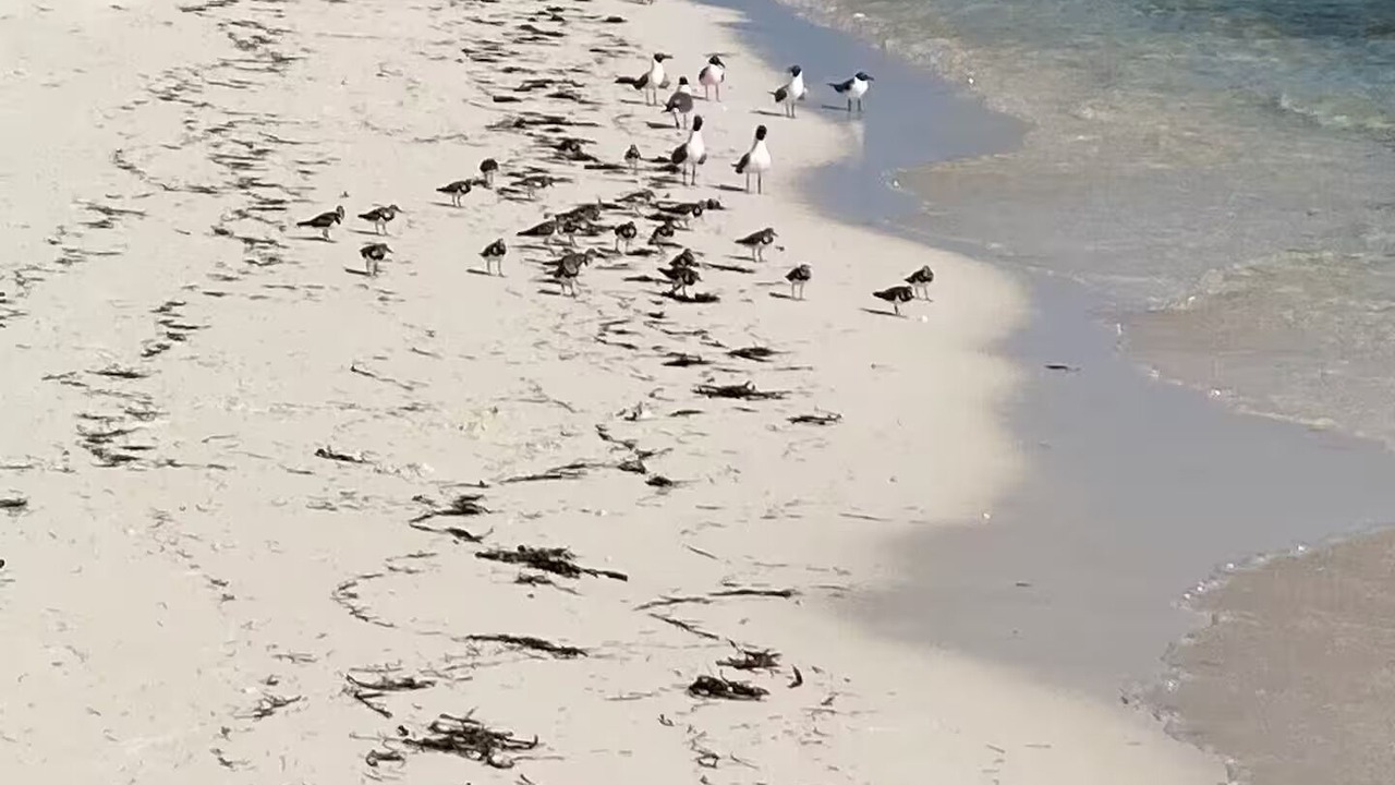 Photo of Others in Providenciales
