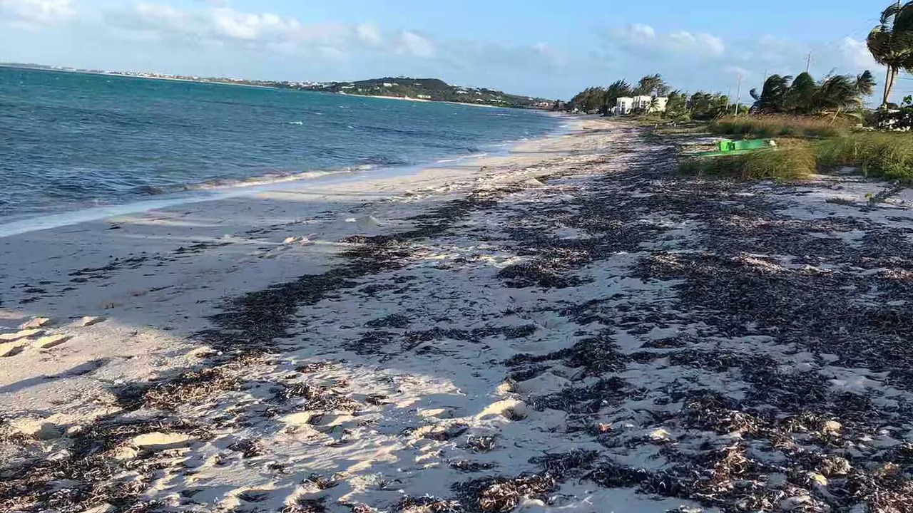 Photo of Others in Providenciales