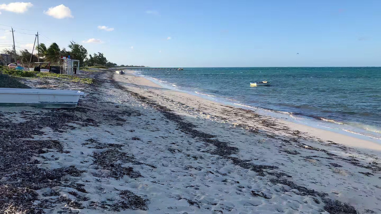 Photo of Others in Providenciales
