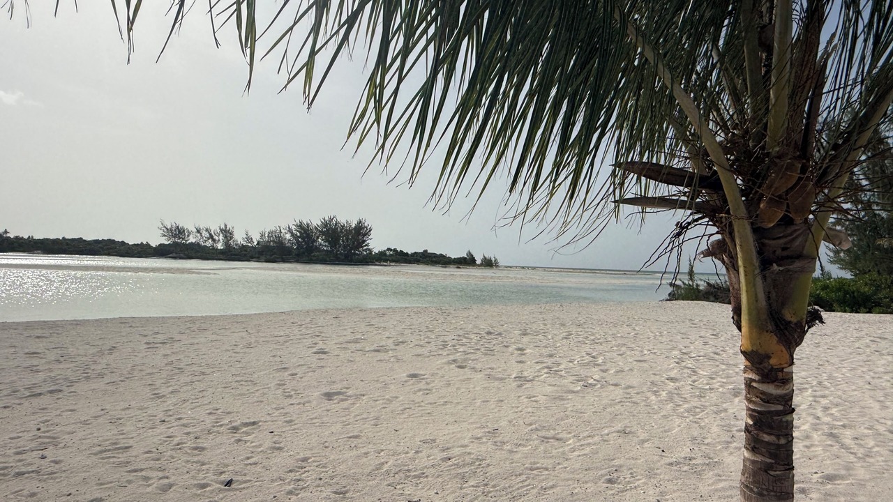 Photo of Others in Sandy Point