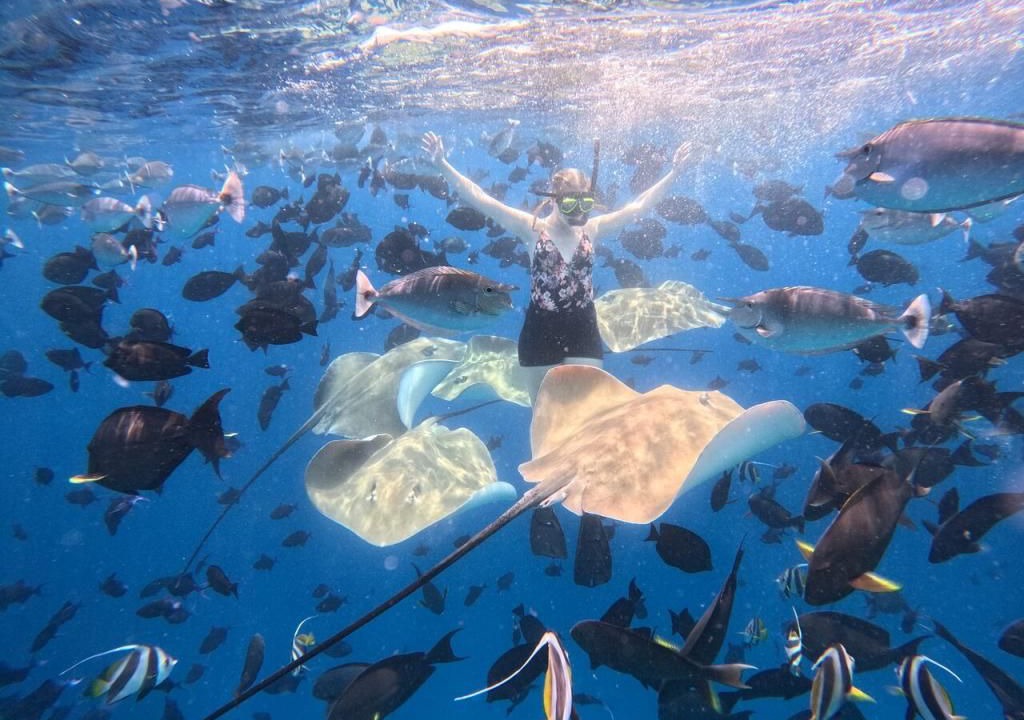 Photo of Others in Himmafushi