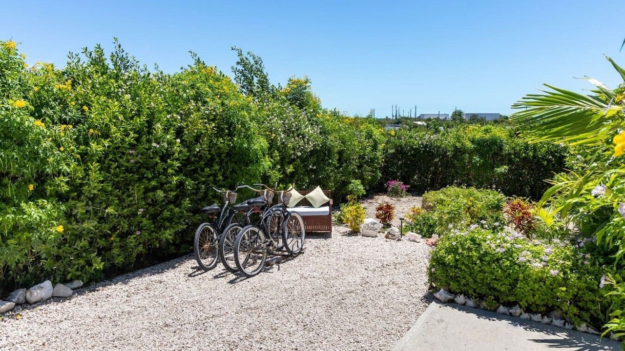 Photo of Outdoor in Long Bay