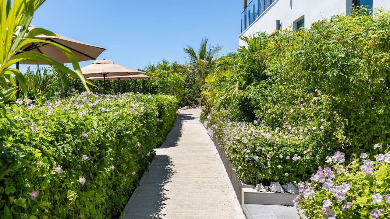 Photo of Outdoor in Long Bay