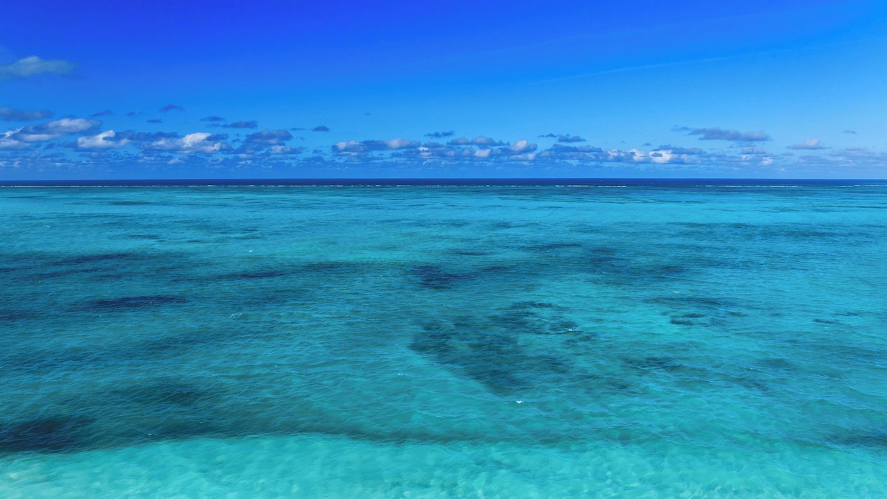Photo of Others in Grace Bay West