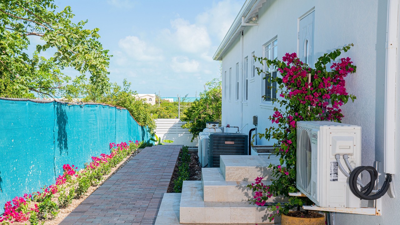 Photo of Outdoor in Long Bay