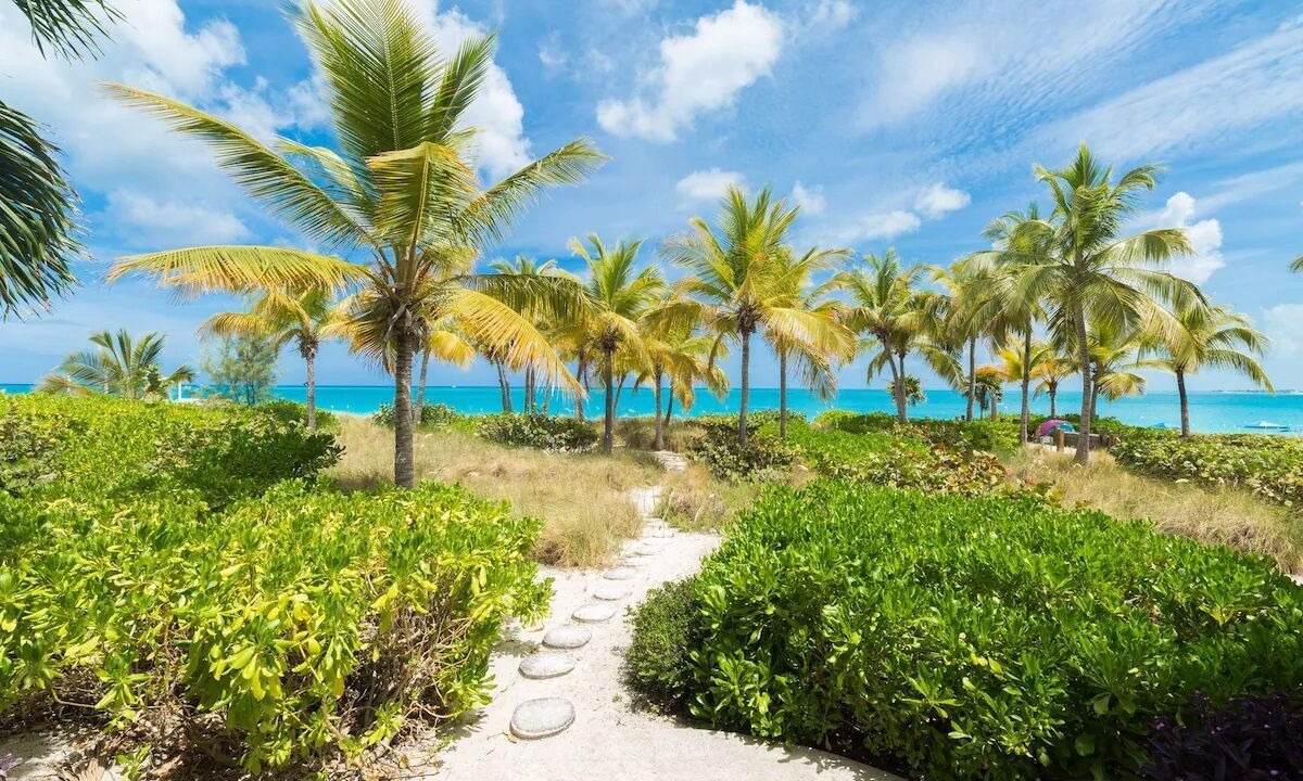 Photo of Others in Grace Bay