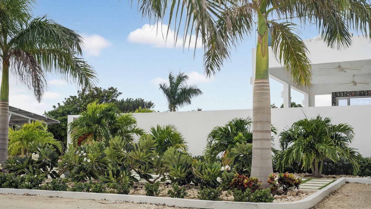 Photo of Outdoor in Long Bay