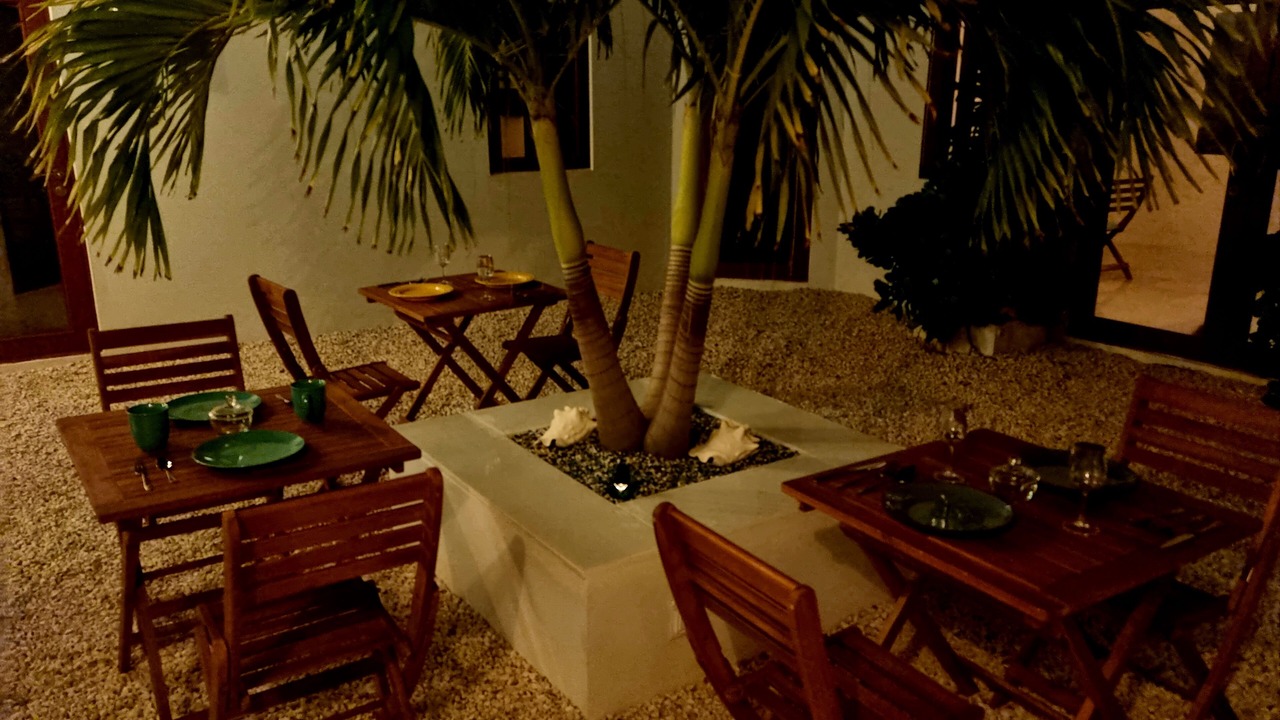 Photo of Outdoor in Long Bay