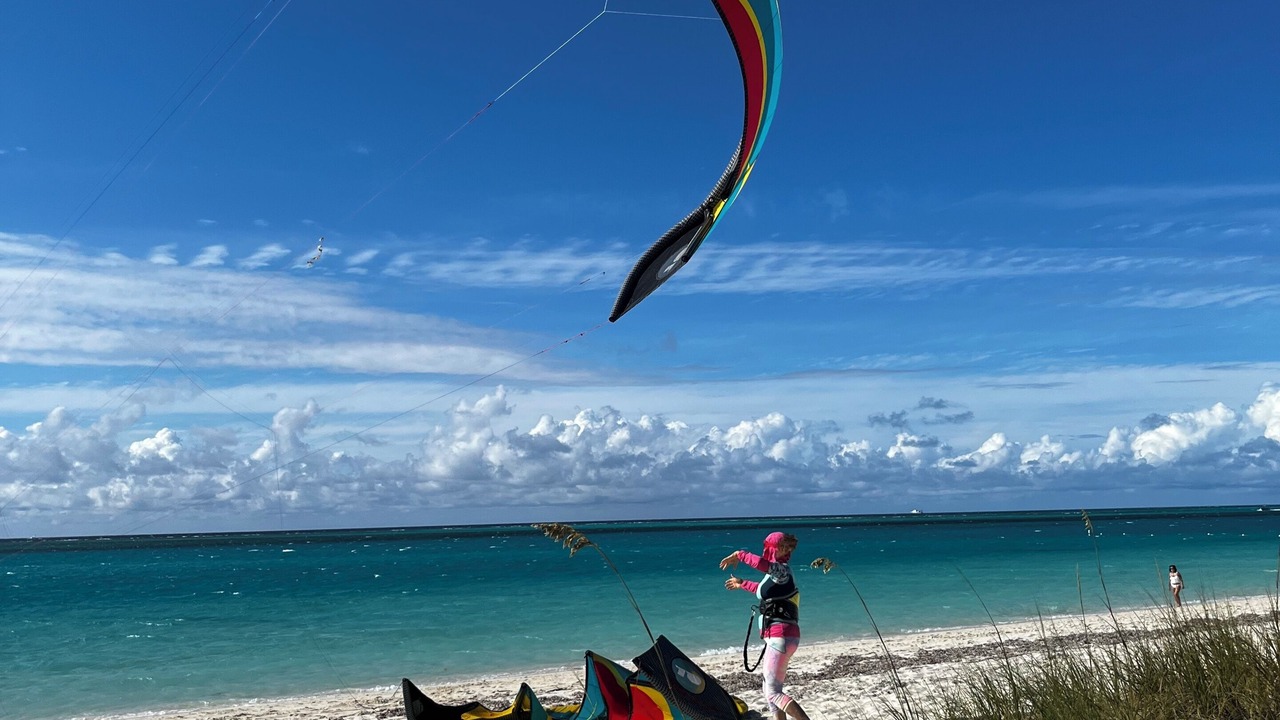 Photo of Others in Long Bay