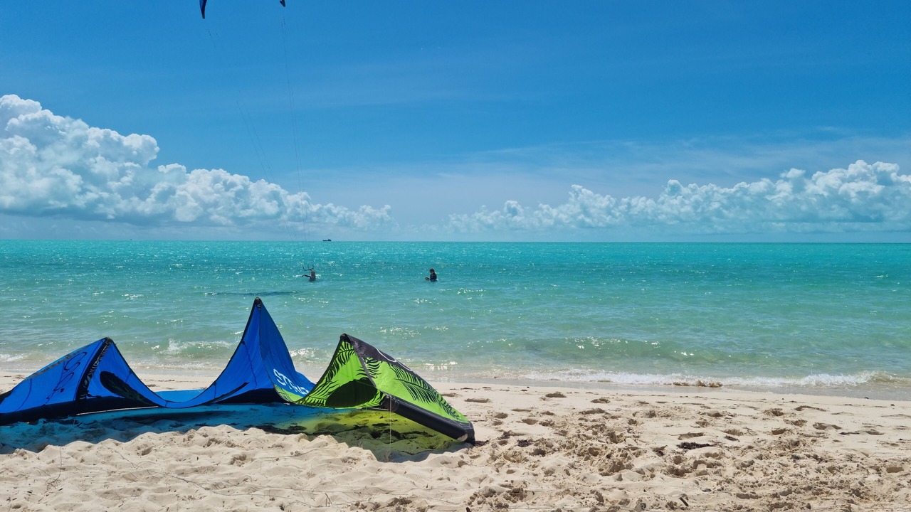 Photo of Others in Long Bay