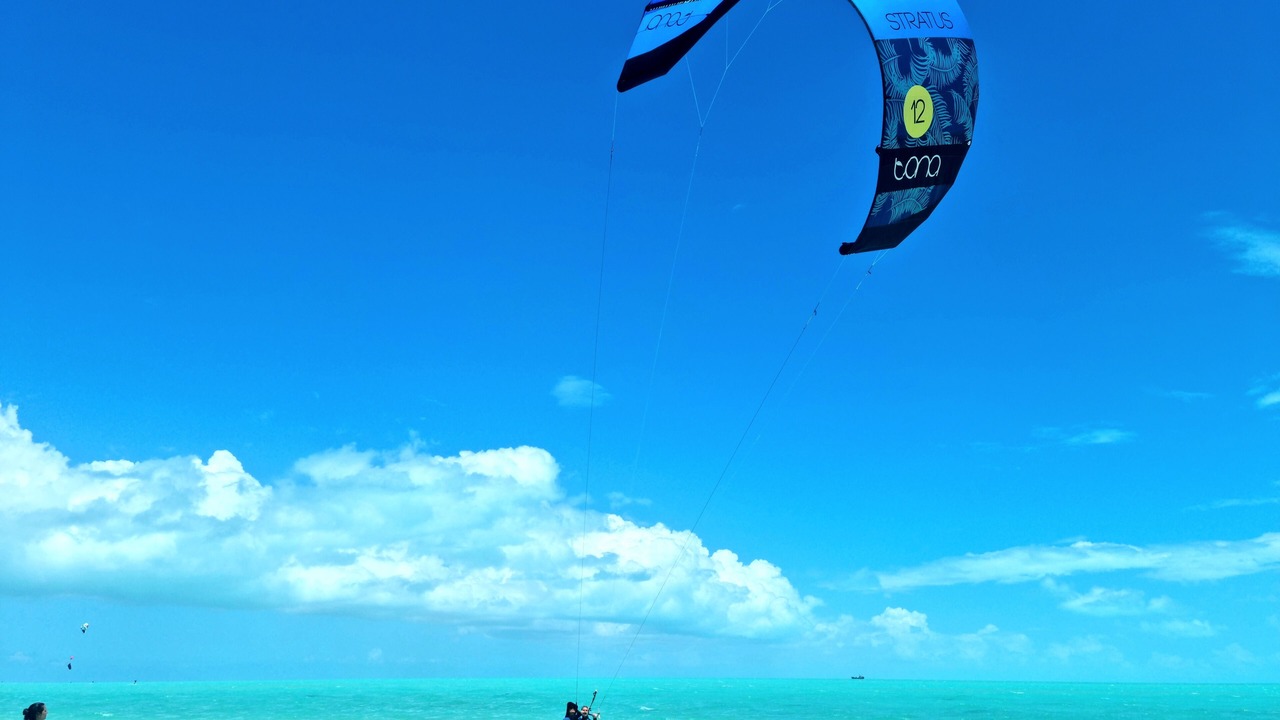 Photo of Others in Long Bay