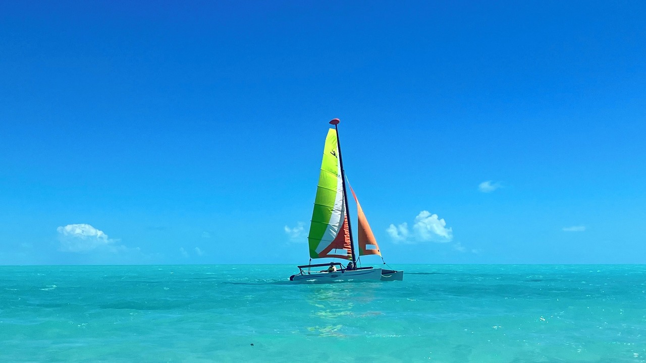 Photo of Others in Long Bay