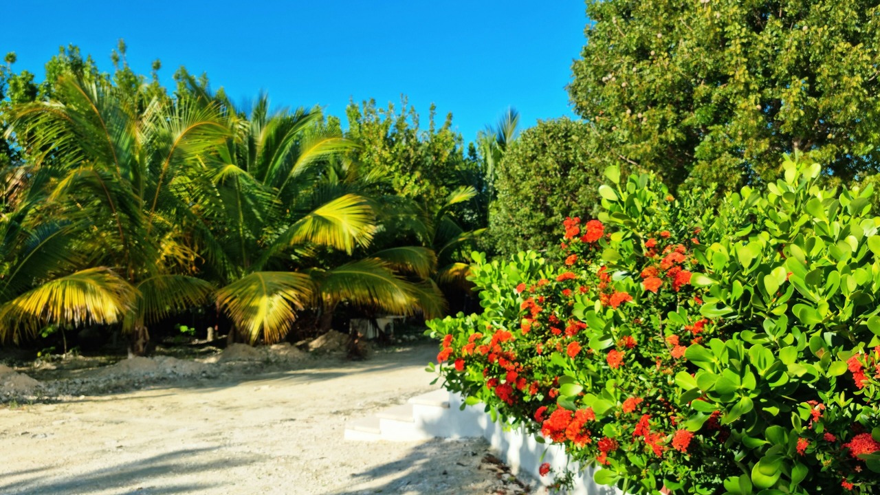 Photo of Outdoor in Long Bay