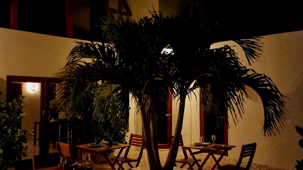 Photo of Outdoor in Long Bay