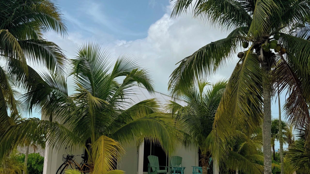 Photo of Outdoor in Sandy Point