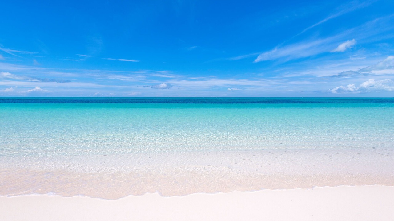 Photo of Others in The Bight