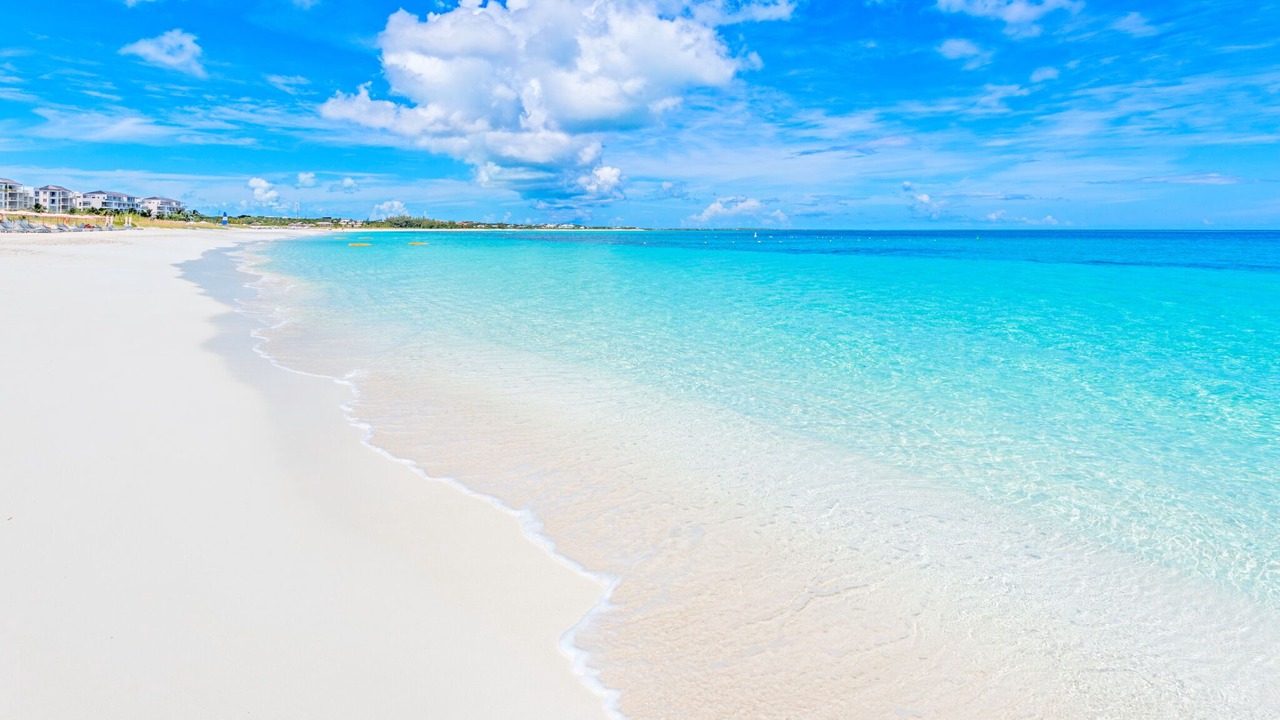 Photo of Others in The Bight