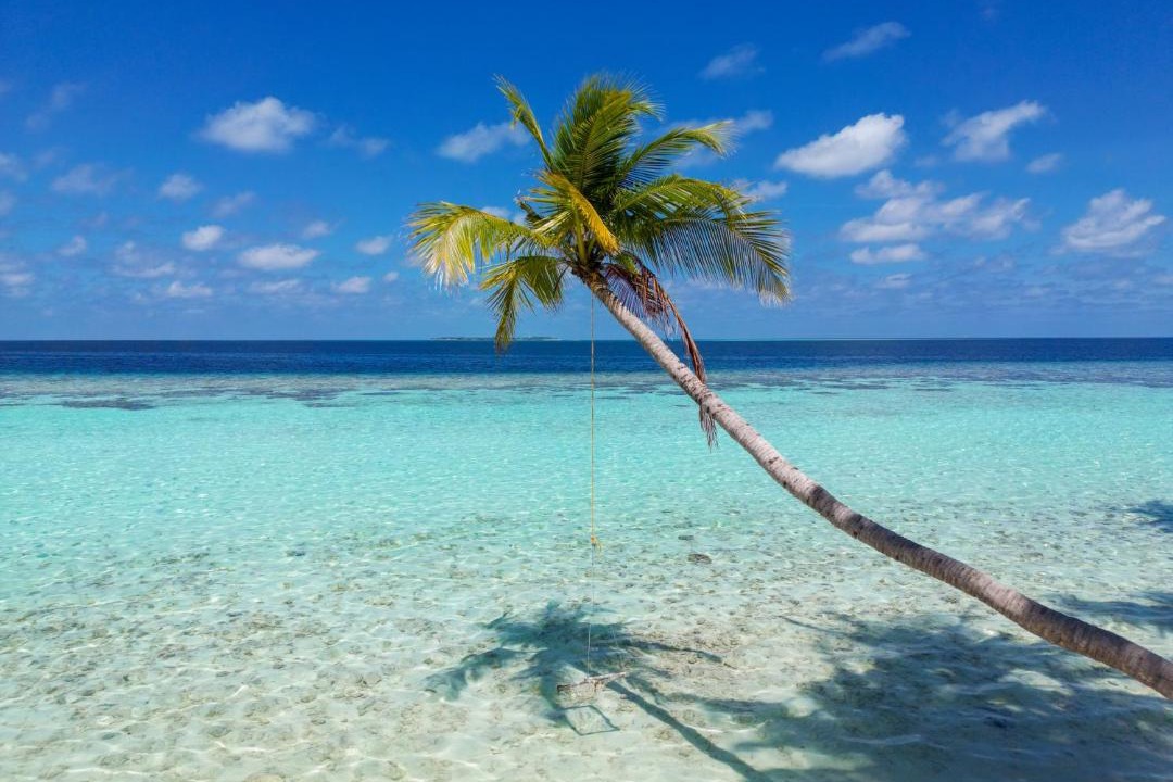 Photo of Others in Omadhoo