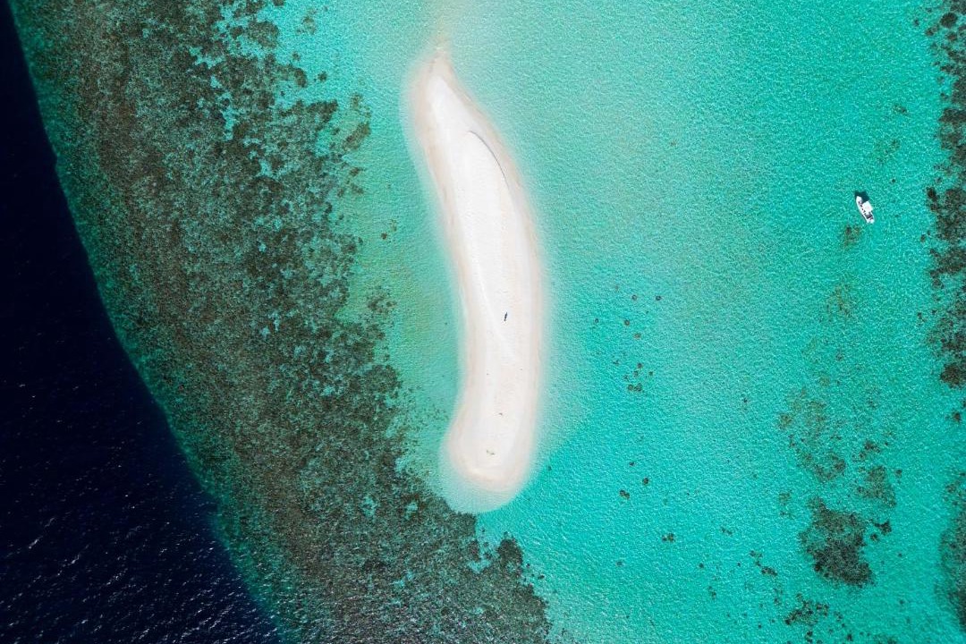 Photo of Human In Picture in Omadhoo