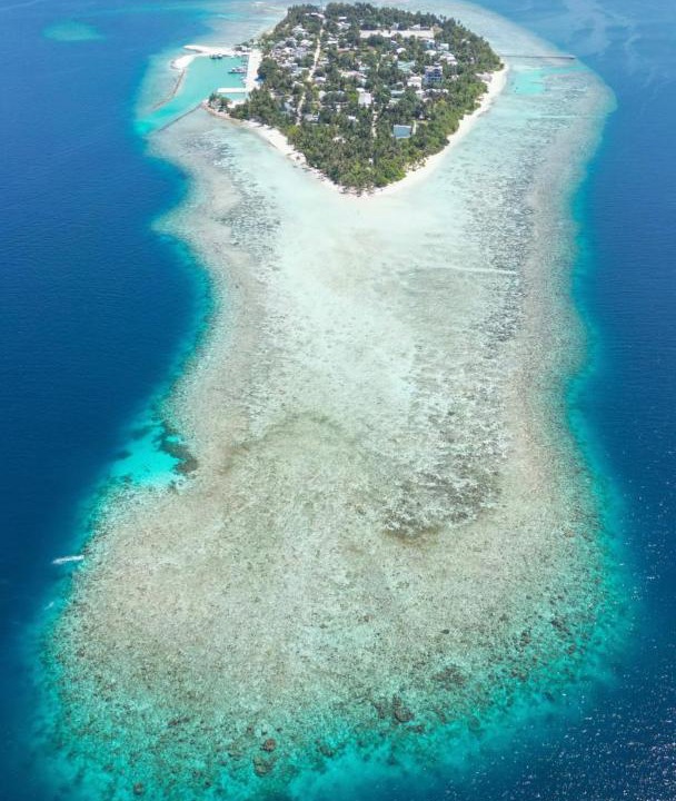 Photo of Others in Omadhoo