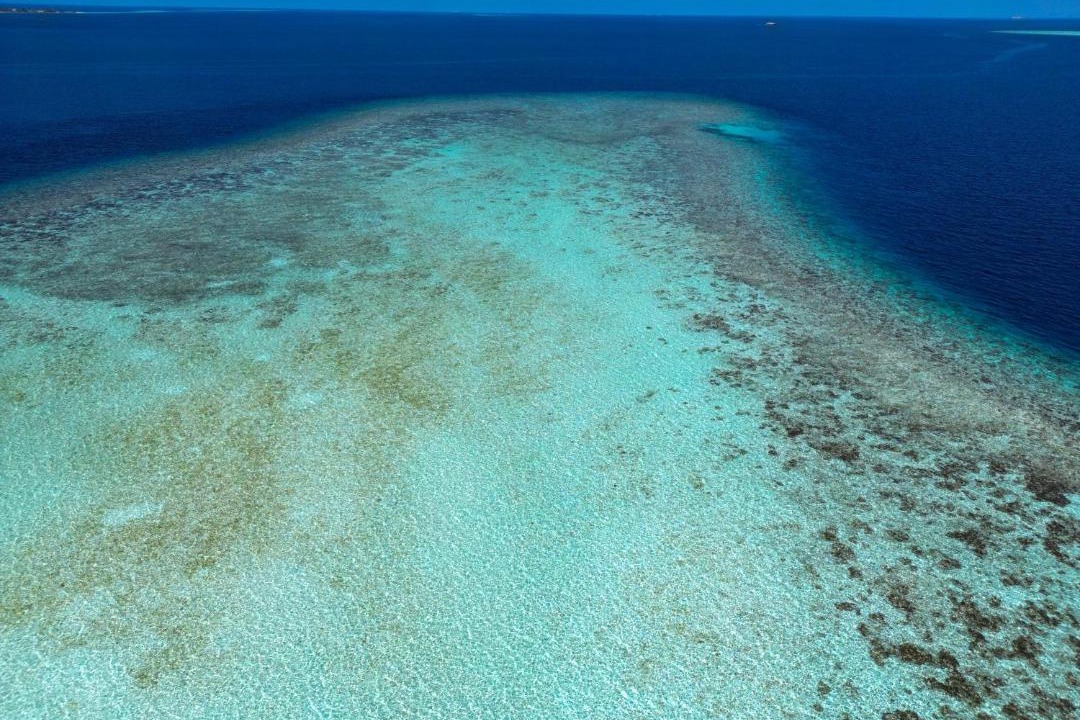 Photo of Others in Omadhoo
