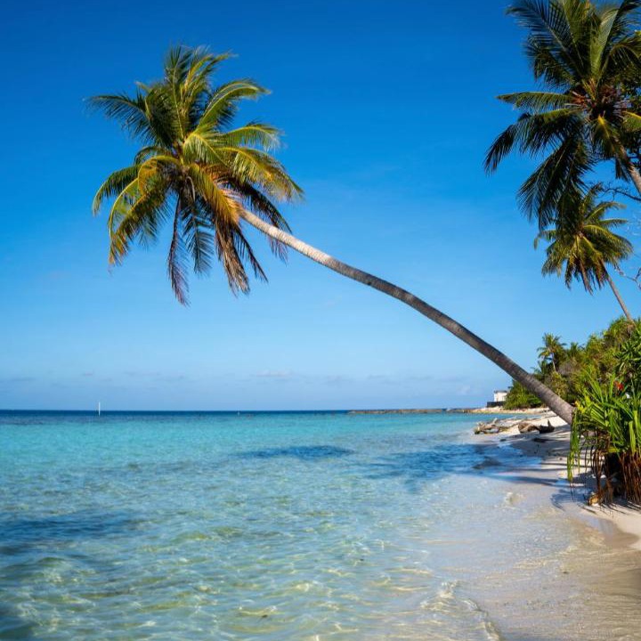 Photo of Others in Omadhoo