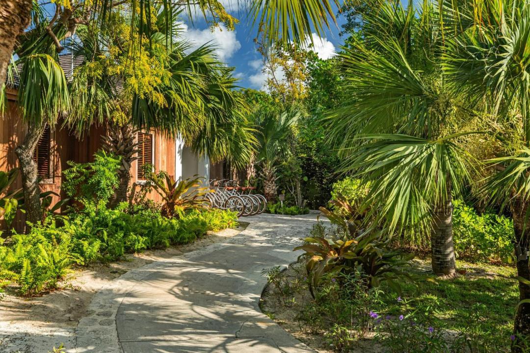 Photo of Others in Parrot Cay