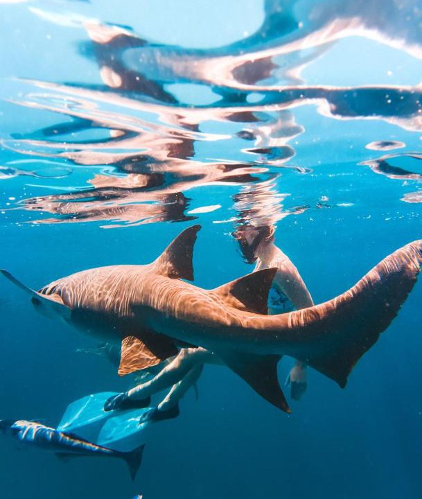 Photo of Human In Picture in Fulidhoo
